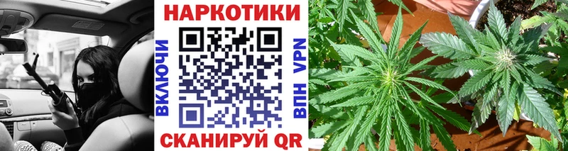 Наркошоп купить Каннабис  Мефедрон  СК  Гашиш  COCAIN  Пласт