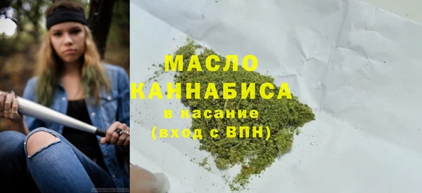 индика Михайловка