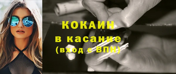 индика Михайловка