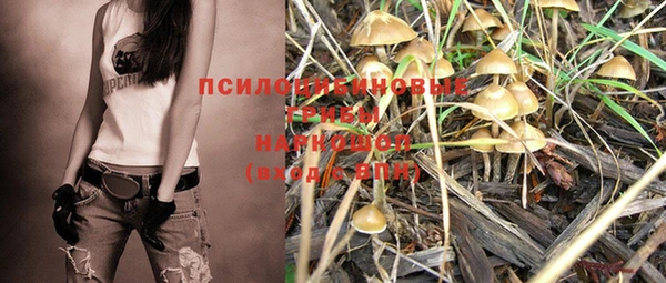 ешки Михайлов