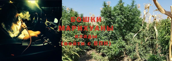 ешки Михайлов