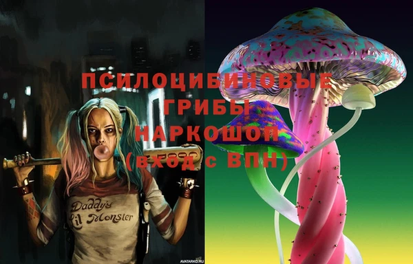 индика Михайловка
