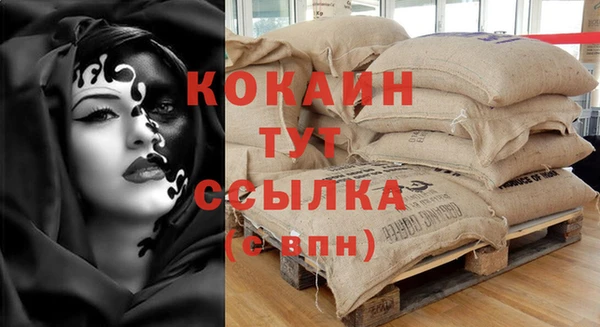 индика Михайловка