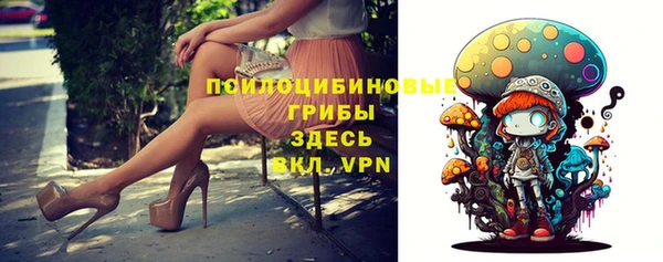 индика Михайловка