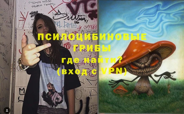 индика Михайловка