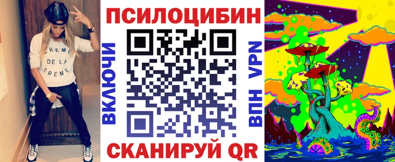 Галлюциногенные грибы Psilocybe  Купить где  Пласт 